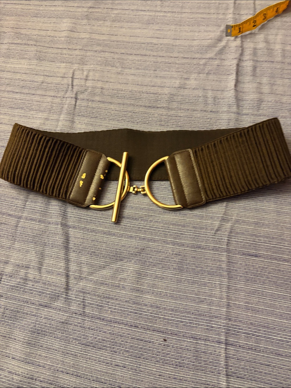 Women's Wide Elastic Belt with Gold Toggle Hardware - Brown
